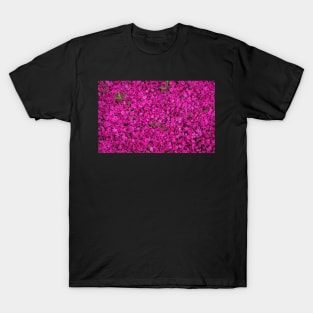 Beautiful Blooming Lavender Magenta Color Flowers Pattern T-Shirt